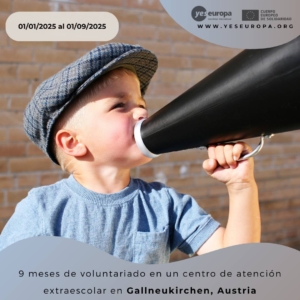 Voluntariado