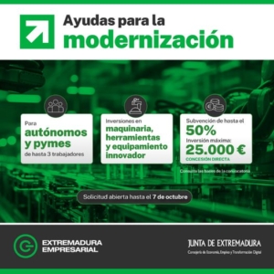 Ayudas modernización