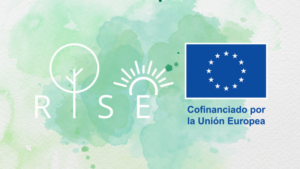 formacion_rise formacion_rise