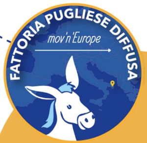 voluntariado_puglia voluntariado_puglia