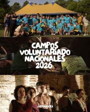 campos_voluntariados