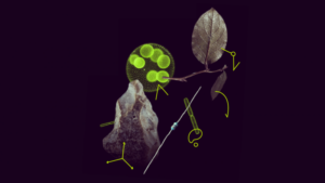 msca-postdoc-fellowship-header msca-postdoc-fellowship-header