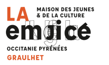 voluntariado_francia