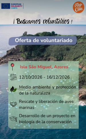 Voluntariado Azores Voluntariado Azores